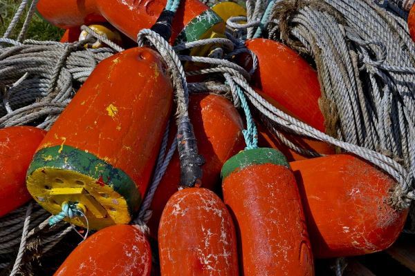 USA, Oregon, Garibaldi Colorful crab pot buoys